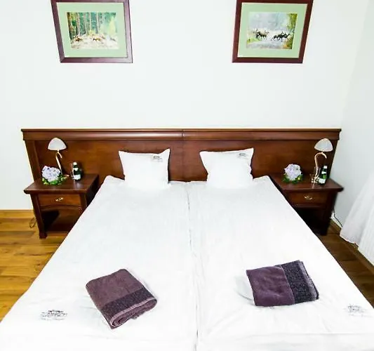 Palac W Porazynie Мини-отель Опаленица